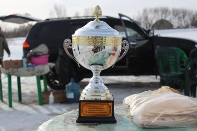 На Борковском затоне в Рязани ловили рыбку большую и маленькую